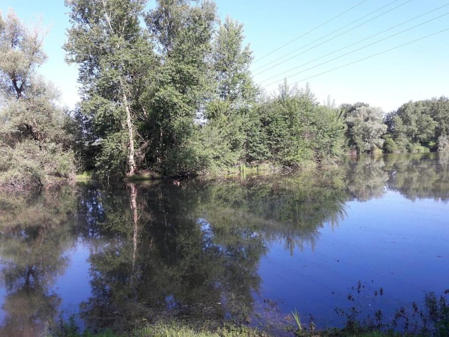 Les Abelias Panzió Hauterive  Kültér fotó
